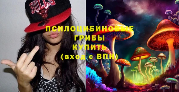 стафф Аркадак