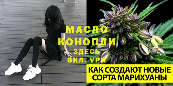 стафф Аркадак