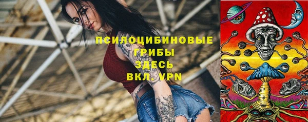 круглые Арсеньев