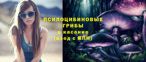 стафф Аркадак