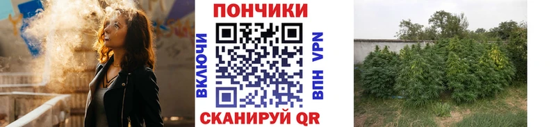 МАРИХУАНА индика  цена   Луховицы 